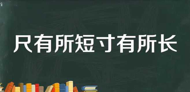 尺有所长寸有所短的意思