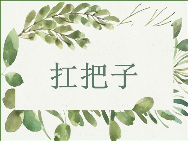 扛把子是什么意思