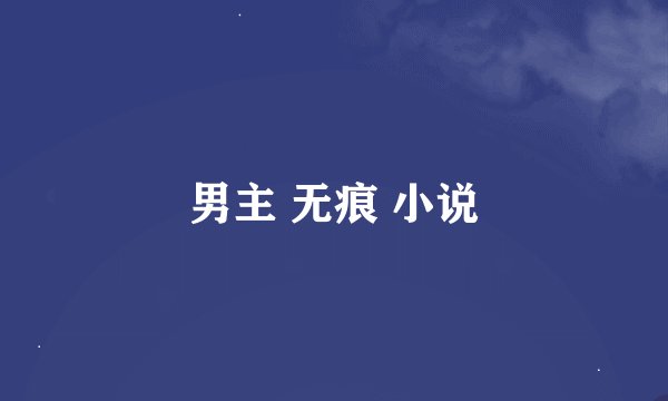男主 无痕 小说