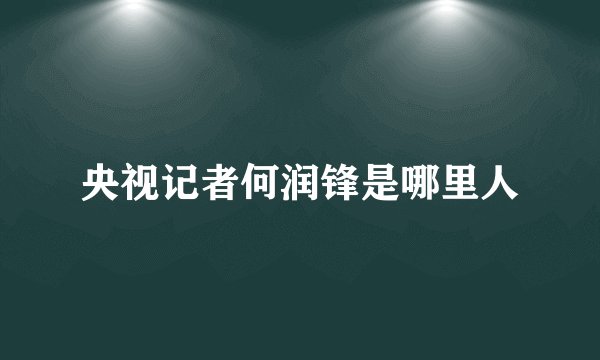 央视记者何润锋是哪里人