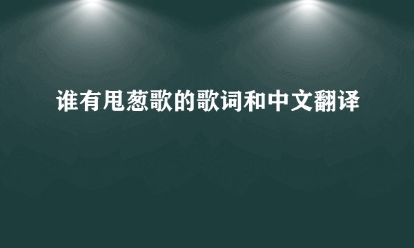 谁有甩葱歌的歌词和中文翻译
