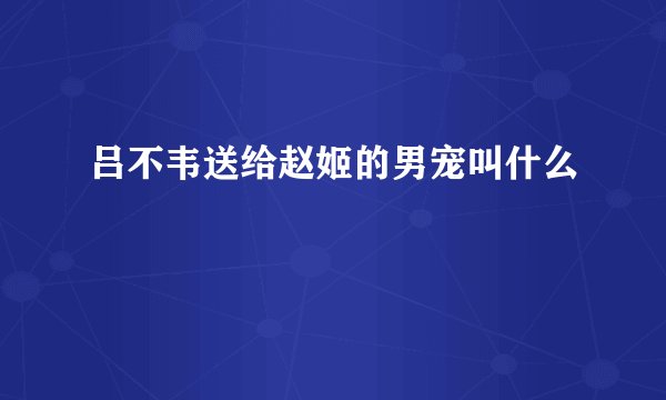 吕不韦送给赵姬的男宠叫什么