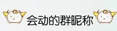 英语群名称比较有创意