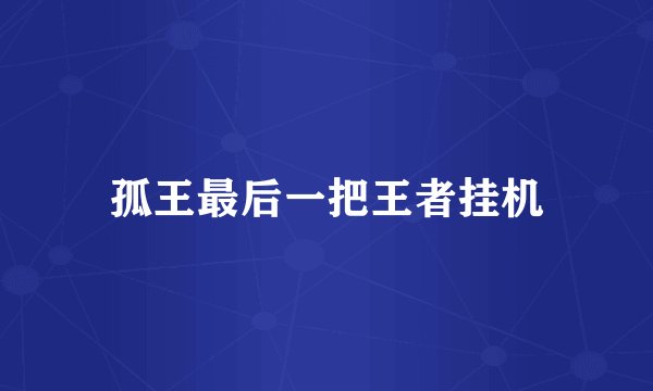 孤王最后一把王者挂机