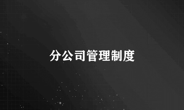 分公司管理制度