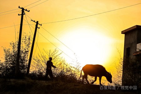 什么是亲疏有别