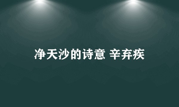 净天沙的诗意 辛弃疾