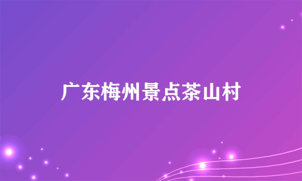 广东梅州景点茶山村