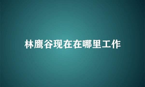 林鹰谷现在在哪里工作