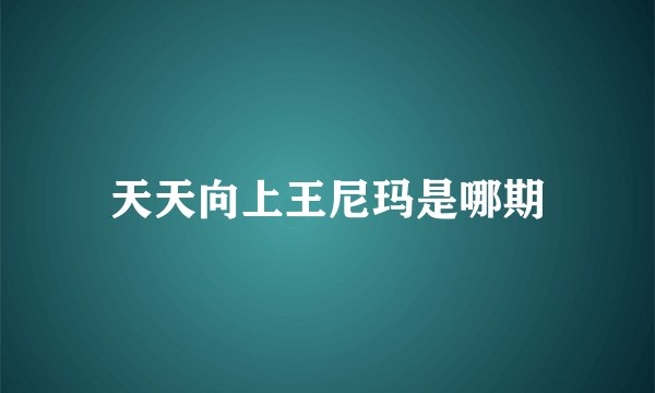 天天向上王尼玛是哪期