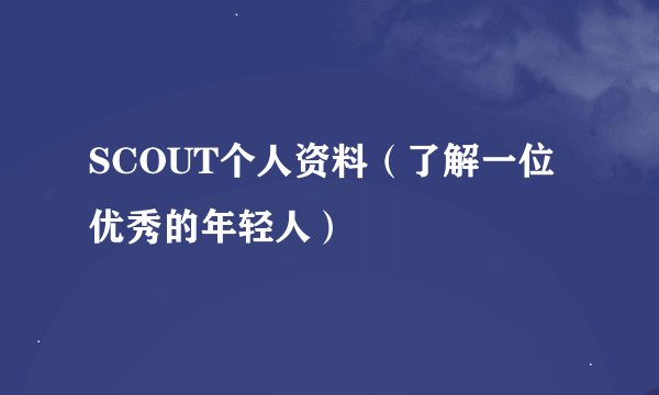 SCOUT个人资料（了解一位优秀的年轻人）