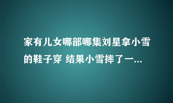 家有儿女哪部哪集刘星拿小雪的鞋子穿 结果小雪摔了一跤 还怪刘星 后面是他们体育老师来换刘星清白的