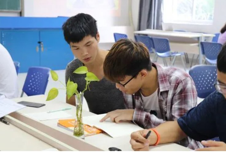 社拼音怎么拼写