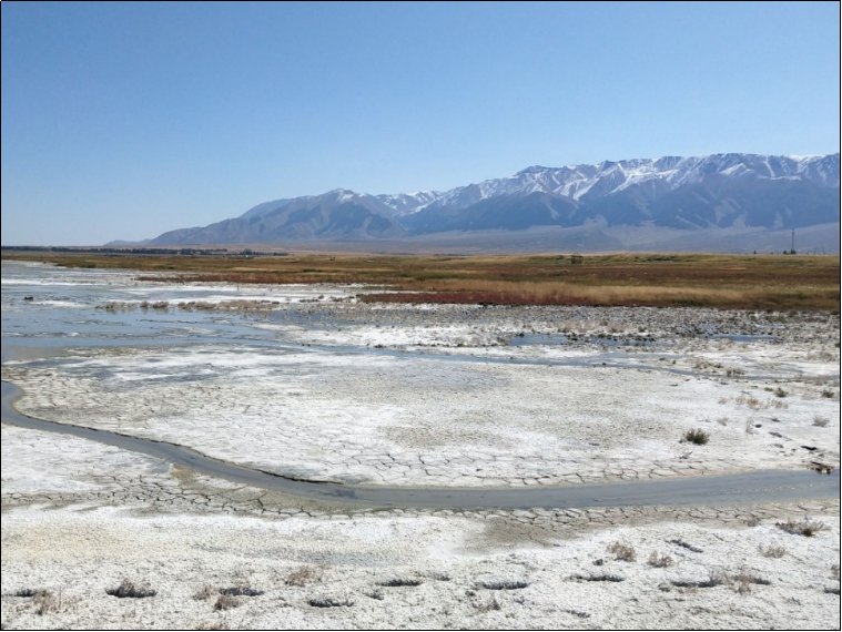 中国的盐湖有哪些