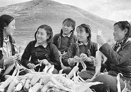 生产队时期的“大会战”是怎样的？有什么依据呢？