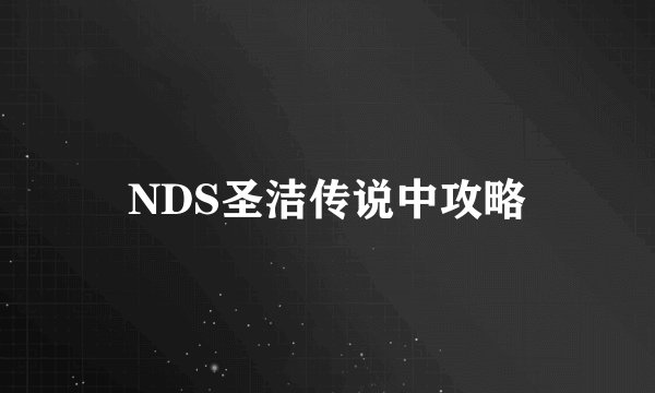 NDS圣洁传说中攻略