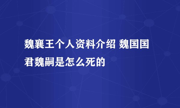 魏襄王个人资料介绍 魏国国君魏嗣是怎么死的