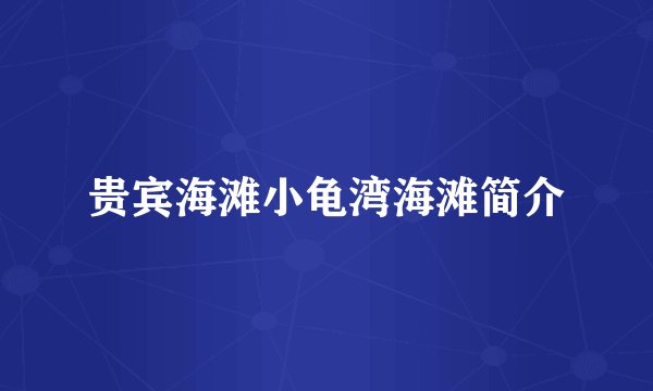 贵宾海滩小龟湾海滩简介