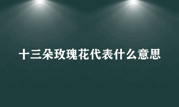 十三朵玫瑰花代表什么意思