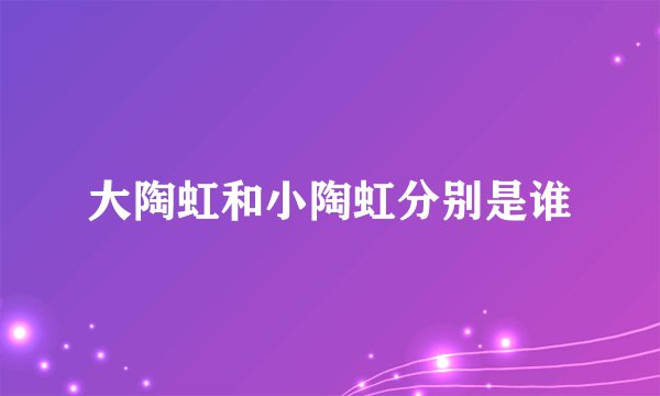 大陶虹和小陶虹分别是谁