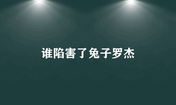 谁陷害了兔子罗杰