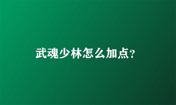 武魂少林怎么加点？