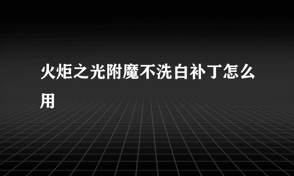 火炬之光附魔不洗白补丁怎么用