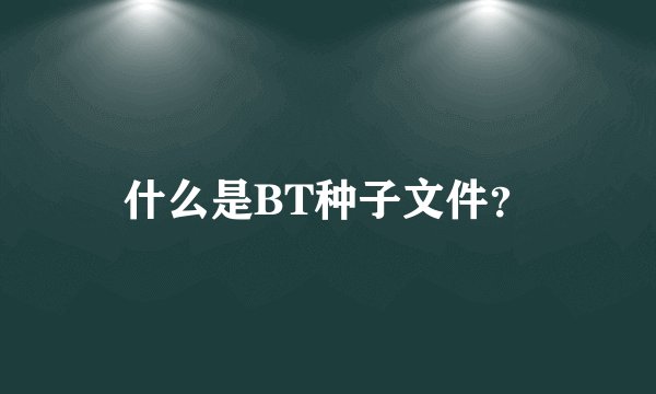 什么是BT种子文件？