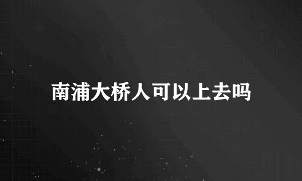 南浦大桥人可以上去吗