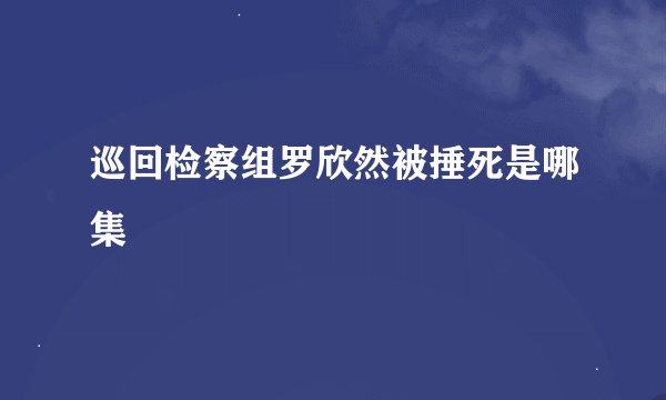 巡回检察组罗欣然被捶死是哪集