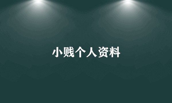 小贱个人资料