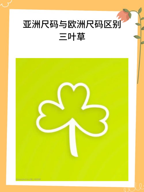 亚洲尺码与欧洲尺码区别三叶草