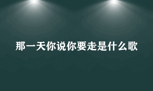 那一天你说你要走是什么歌