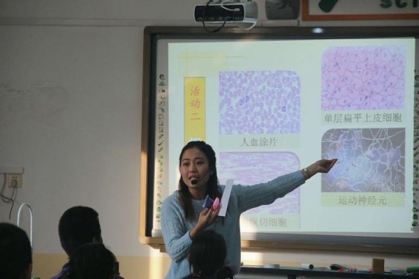 a衰变和b衰变的本质