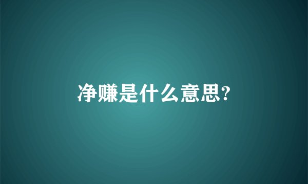 净赚是什么意思?