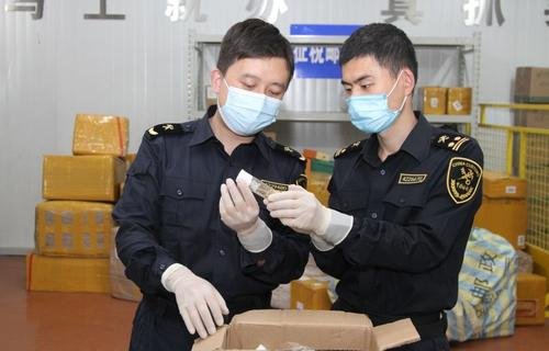 青岛海关截获非法入境黑腹果蝇7000余只，这些生物有何危害？