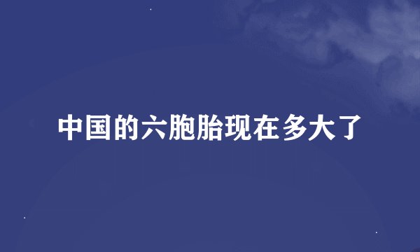 中国的六胞胎现在多大了
