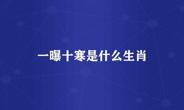 一曝十寒是什么生肖