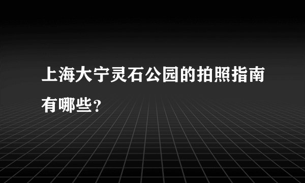 上海大宁灵石公园的拍照指南有哪些？