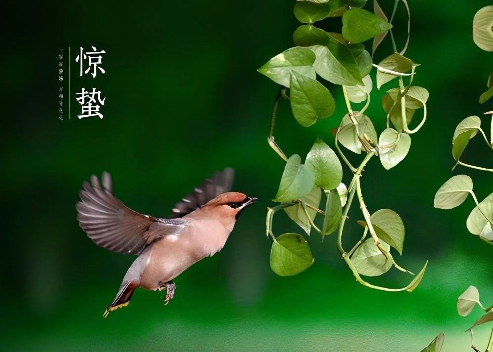 农历惊蛰是什么意思？