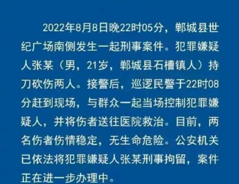 河南郸城一男子持刀砍伤两人，暴力事件的起因是什么？