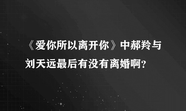 《爱你所以离开你》中郝羚与刘天远最后有没有离婚啊？