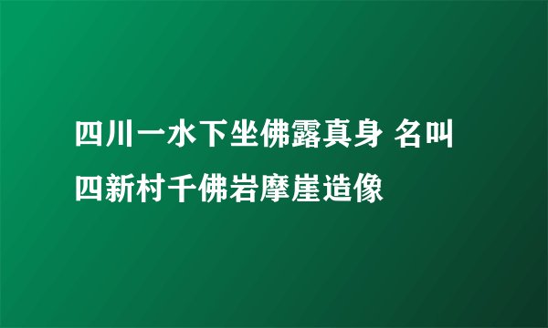 四川一水下坐佛露真身 名叫四新村千佛岩摩崖造像