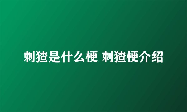 刺猹是什么梗 刺猹梗介绍