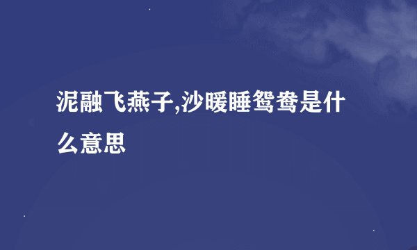 泥融飞燕子,沙暖睡鸳鸯是什么意思