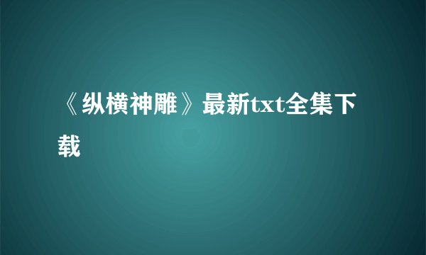 《纵横神雕》最新txt全集下载