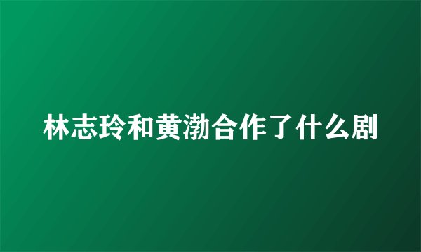 林志玲和黄渤合作了什么剧