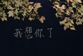 异性说想你了的八种回复是什么？