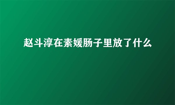 赵斗淳在素媛肠子里放了什么