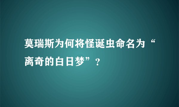 莫瑞斯为何将怪诞虫命名为“离奇的白日梦”？